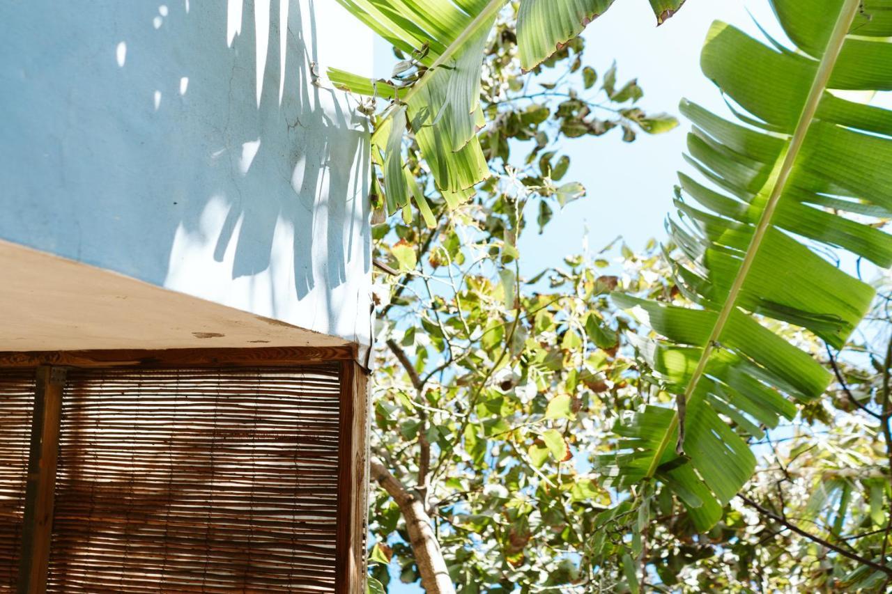 Tortuga Blue House In Banana Plantation Villa Arucas Ngoại thất bức ảnh